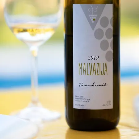 Stepancic - Large Garden And Heated Pool