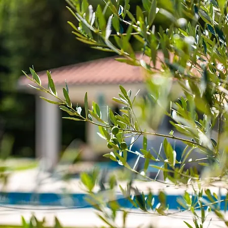 Stepancic - Large Garden And Heated Pool