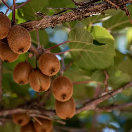 Вилла Stepancic - Large Garden And Heated Pool *