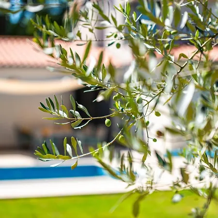 Villa Stepancic - Large Garden And Heated Pool *