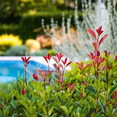 Stepancic - Large Garden And Heated Pool