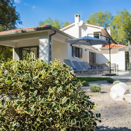 Stepancic - Large Garden And Heated Pool Villa Labin (Istria)