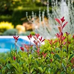 Stepancic - Large Garden And Heated Pool