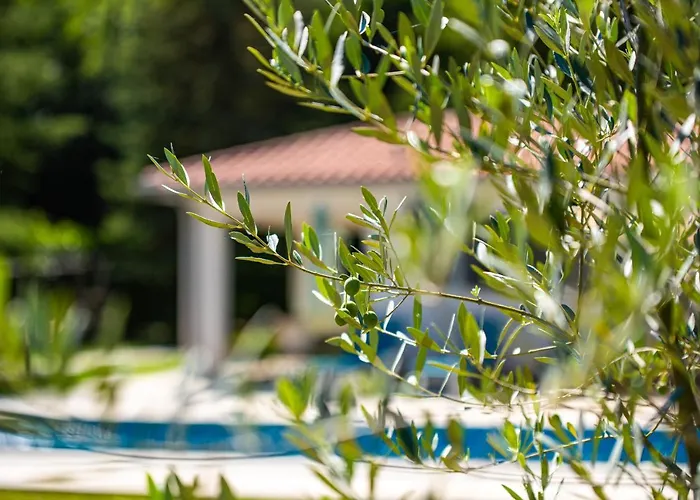 Stepancic - Large Garden And Heated Pool