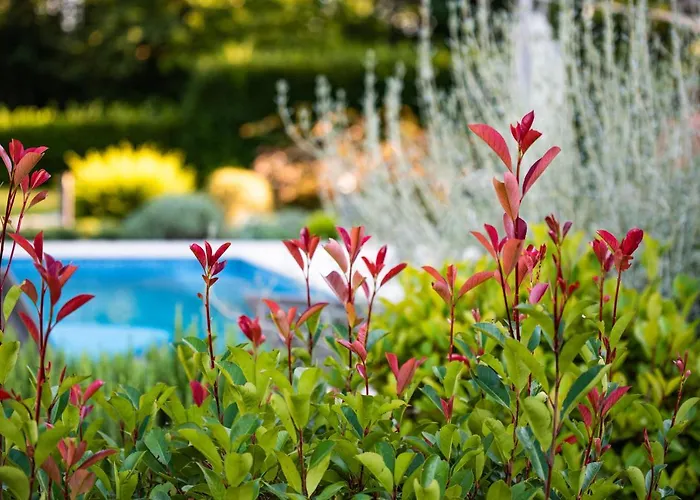 Stepancic - Large Garden And Heated Pool